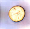 wpe6.jpg (8817 octets)