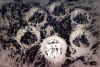wpe17.jpg (37607 octets)