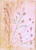 emela_15.jpg (94643 bytes)