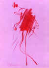 wpeF.jpg (9394 octets)