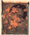 wpe3.jpg (22441 octets)