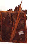 wpe3.jpg (19908 octets)
