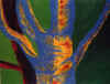 wpe2.jpg (24523 octets)