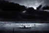 InfragreenFilmProject_1.jpg (23979 octets)