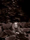 teddy.jpg (42915 octets)