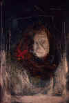 wpe4.jpg (30731 octets)