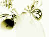 mzimm_fc00073.jpg (60842 octets)
