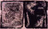 wpe2.jpg (41559 octets)