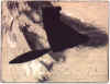 wpe1.jpg (22134 octets)