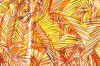 wpe4.jpg (80725 octets)