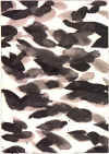 wpe4.jpg (25672 octets)
