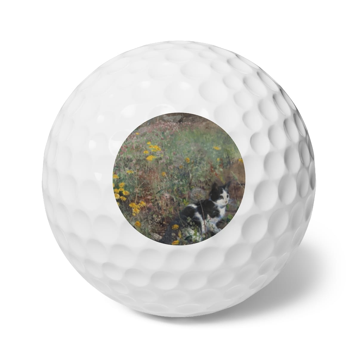 Set of 6 Art Golf Balls