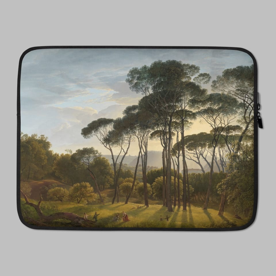 Art Laptop Sleeve, Artist Hendrik Voogd, Artwork 