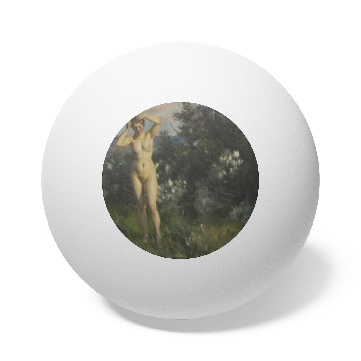 Art Ping Pong Balls (6 pieces)