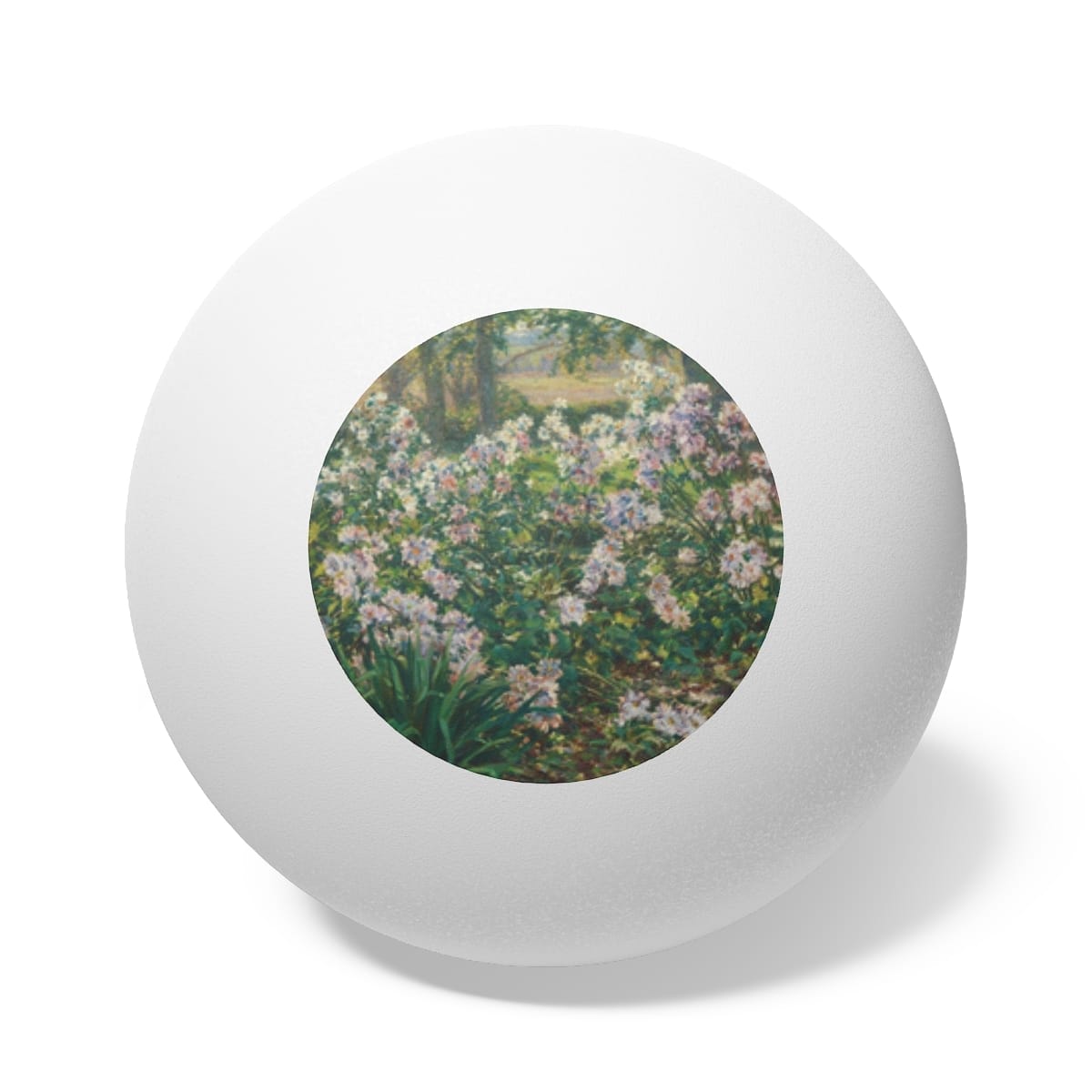 Art Ping Pong Balls 6 Pieces, Artist Ruger Donoho, Artwork 