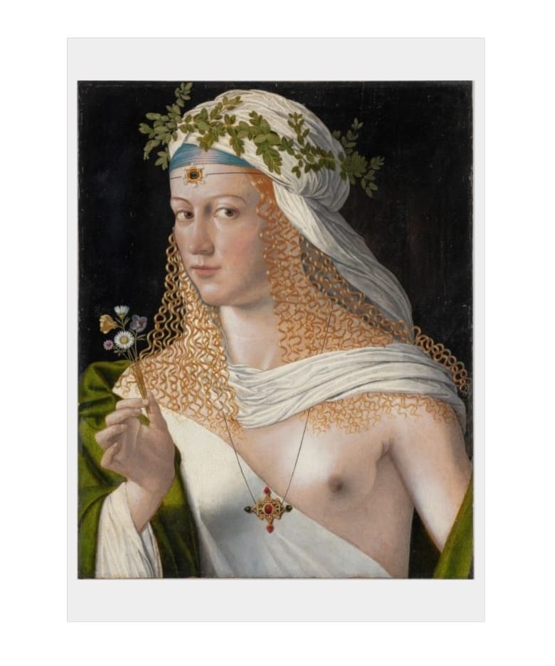 Art Print Open Edition, Artist Bartolomeo Veneto, Artwork 