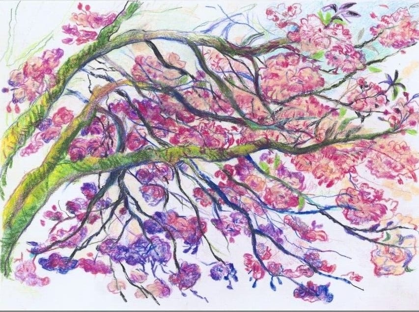 Art Print Signed and Numbered