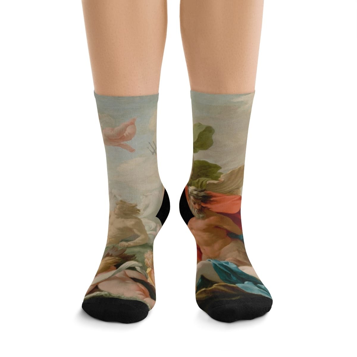 Art Socks Recycled Poly, Artist Eustache Le Sueur, Artwork 