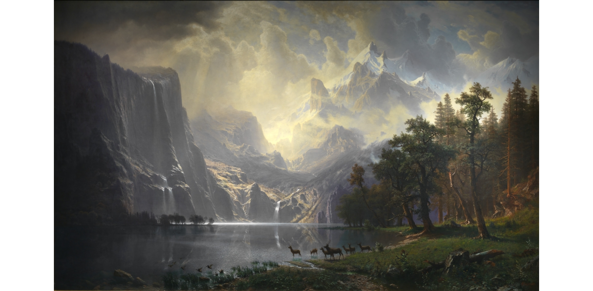 Newsletter 113 Image